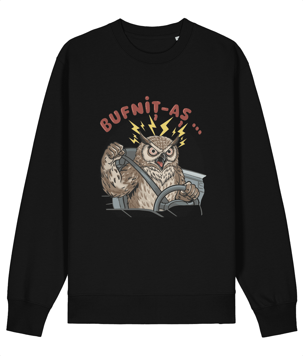 Bluză Amuzantă Bufniță Șofer la Volan - Mockup bluză neagră cu mânecă lungă, bufniță la volan și text „Bufnit-aș…”, pe fundal alb.